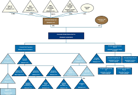 Coronado Global Resources Inc Registration Of Securities 10 12g