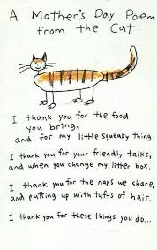 Cat Rescue Network On Twitter Cat Poems Crazy Cats Mothers Day Poems