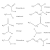 Buttersäure ist der trivialname der butansäure, einer carbonsäure und gleichzeitig der einfachsten fettsäure. 1