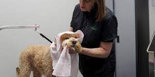 Pet Supplies Plus South Bend 2202 S Bend Ave South Bend In Pet Supplies Mapquest