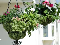 Xxx yeri mua gratis Mira Video De Yeri Mua videos porno