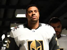 Player overview & base stats. Vegas Golden Knight Ryan Reaves Opens 7five Brewery Downtown Soon Eater Vegas