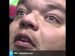 We did not find results for: You High Bro Youtube