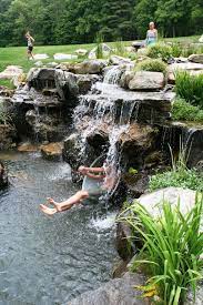 Check spelling or type a new query. Swimming With Nature Water Shapes