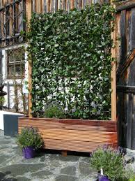 Hecke Im Hartholztrog Garten Ideen Garten Immergrune Hecke