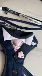 Zoe Mollet (zmmollet)