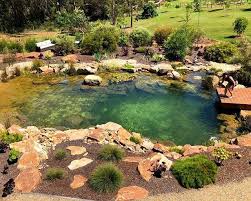 Recreation Or Swimming Ponds Are Becoming An Increasingly Popular Preference Versus The Typical Ing Swimming Pond Natural Swimming Ponds Natural Swimming Pools