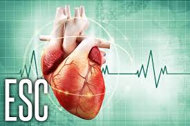 اکو قلب جنین یا نوار قلب جنین تستی مشابه با سونوگرافی است.این آزمایش به پزشک اجازه می دهد تا ساختار و عملکرد قلب کودک متولد نشده ی شما را بهتر بررسی کند. Pediatric Heterozygous Fh Pcsk9 Inhibitor Makes A Dent In Ldl Medpage Today