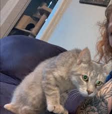 What's Up in Delaware, OH