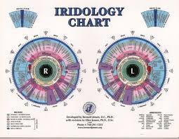 Qwest 4 Health Iridology