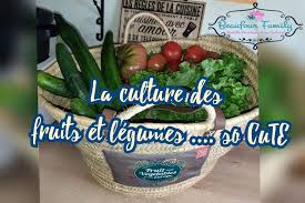 Beaufour Family Blog D Une Famille Nombreuse Presque Zero Dechet Et Proche De La Nature En 2020 Fruits Et Legumes Fruits Fruit