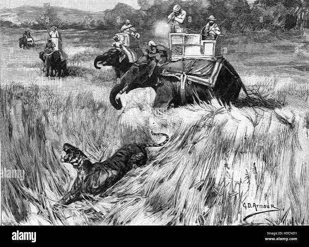 Edward, Prince of Wales, hunting tiger during his state visit to India in 1876. Artist: Unknown Stock Photo - Alamy