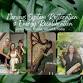Nervous System Restoration & Energy Recalibration event image
