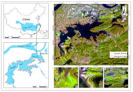 Estimating Aboveground Biomass Using Sentinel-2 MSI Data and Ensemble  Algorithms for Grassland in the Shengjin Lake Wetland, China