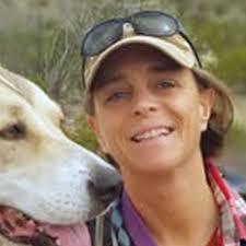 How to conduct a night sky quality survey