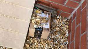 Wenn bei amazon der paketstatus „sendung wird zugestellt in der paketverfolgung angezeigt wird, dann kommt das paket in den meisten fällen auch heute noch bei dir an. Amazon Bote Will Paket Verstecken Das Ergebnis Wird Zur Lachnummer Stern De