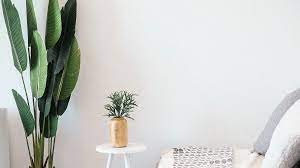 Interior designer, dani arps, says a bookshelf can add a lot to your zoom meeting. Zoom Virtual Background Download Simple Novocom Top