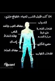 أعراض التي تنجم عن قلة شرب الماء م Words How To Stay Healthy Good To Know