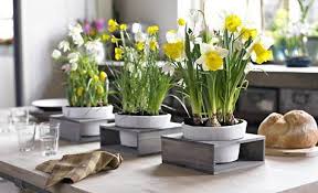 Secara tidak langsung cara ini akan membuat anda lebih bersemangat dan berenergi anda bisa meletakkan bunga mungil di dalam pot sebagai hiasan meja. Fruhlingsboten Dining Table Centerpiece Spring Flower Arrangements Spring Decor
