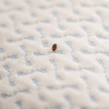 View marblehead recently sold homes and information about the marblehead, ma real estate market. Bed Bugs 101 B B Pest Control