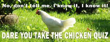 Buzzfeed editor keep up with the latest daily buzz with the buzzfeed daily newsletter! The Ultimate Chicken Quiz Test Your Poultry Knowledge Keeping Chickens Uk