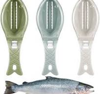 3 Pcs Fish Scale Remover Set Small Plastic Fish Skin Remover Tool Fast  Cleaning Peeler Scaler Scraper Graters for Easy Kitchen Cleaning Tool(Light  ...
