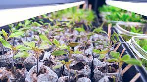 Making a grow light stand. How To Build An Easy Diy Grow Light For Seedlings Caboose Spice Company