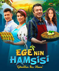 The ones i will be recommending are kind of old but gold turkish dramas. Family Turkish Drama