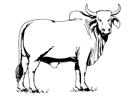 Most of the princesses are of disney classic animation such as cinderella, aurora, snow white, belle, jasmine, and the little mermaid. Free Printable Cow Coloring Pages For Kids