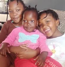 Recommendations for custom wire or metal wall trellises