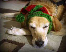 Santa S Helper Dog Hat Elf Hat For Dogs Dog Elf Hat Etsy Christmas Dog Outfits Diy Dog Stuff Dog Holiday