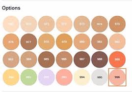 25 Thorough La Pro Concealer Color Chart