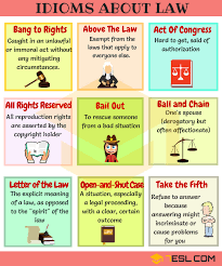 Useful Idioms About Law And Politics In English 7esl