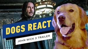 He was responsible for the casting of the dogs. The Internet And Dogs React To John Wick 3 Trailer Esquire Middle East