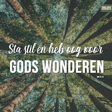 Pin Op Dagelijksebroodkruimels