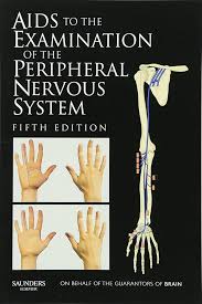 Image result for Peripheral Nervous System