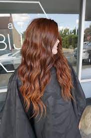Fall Hair Color Nbr Extensions Hair Color Auburn Ginger Hair Color Hair Inspo Color