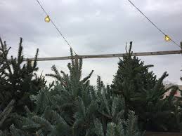 To purchase tickets to events at the freedom house museum, and to shop online, visit the alexandria shop. Christmas Tree Farms In Columbus And Beyond