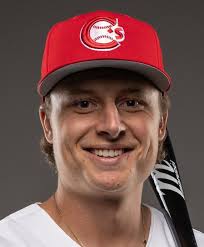 How local pro baseball players fared in 2017