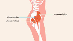 We did not find results for: Hip Abduction Exercises Anatomy Benefits Effectiveness