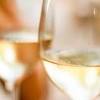 Fratelli offers a large selection of wines. 1