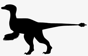 Dinosaur Silhouette Z8rtsc Clipart Free Dinosaur Silhouettes Transparent Transparent Png 1170x750 Free Download On Nicepng Download the silhouette in eps, jpg, pdf, png, and svg formats. dinosaur silhouette z8rtsc clipart