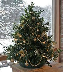 Boxwood Christmastree Amazing Christmas Trees Small Christmas Trees Christmas Tree Decorations