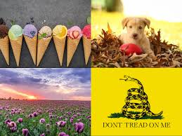 Check spelling or type a new query. 9 Ridiculously Cute Zoom Backgrounds To Put A Smile On Anyone S Face The Stanford Daily