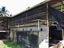 Javier Multiplier Farm