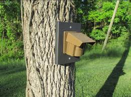 Infrared motion detectors will alert you when guests are approaching hundreds of feet from your home door. Guide To The Best Wireless Driveway Alarm System In 2021