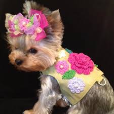 Vienna Couture Canine Dog Apparel Haute Couture And Knitts For Dogs960 X 960199 8kbwww Viennacouturecanine Com Girl Dog Clothes Dog Flower Dog Clothes
