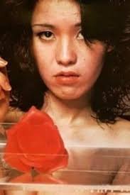 In the Realm of the Senses (1976)