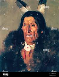 Buffalo robes hi-res stock photography and images