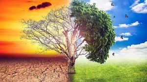 El cambio climático es la consecuencia del calentamiento global de la tierra. Que Es El Cambio Climatico Causas Y Consecuencias Que Es La Contaminacion Tipos Efectos Y Causas De Contaminacion